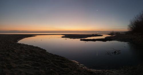 Ujście potoku Oliwskiego, Gdańsk Jelitkowo